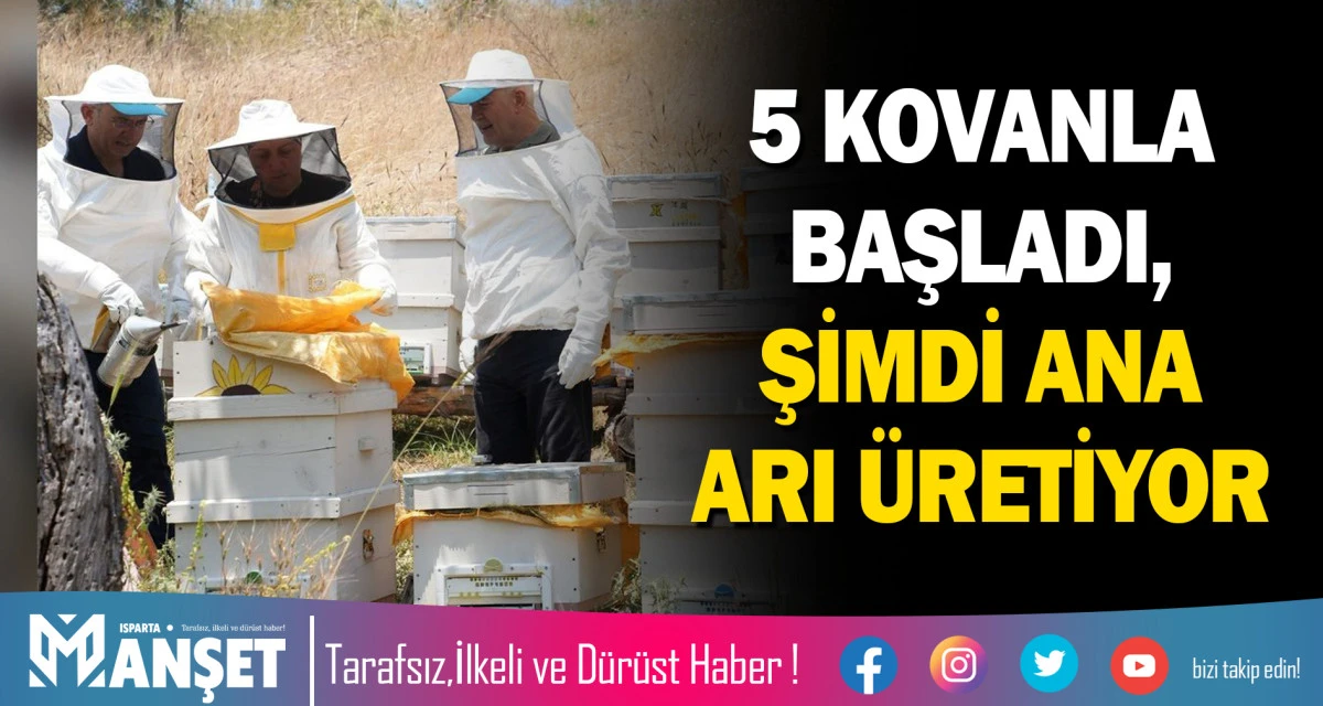 5 KOVANLA BAŞLADI, ŞİMDİ ANA ARI &Uuml;RETİYOR