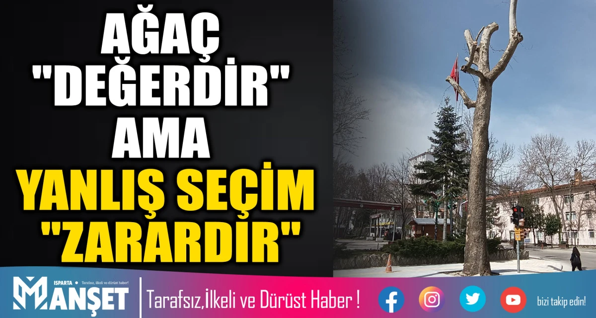 AĞA&Ccedil; "DEĞERDİR" AMA YANLIŞ SE&Ccedil;İM "ZARARDIR"