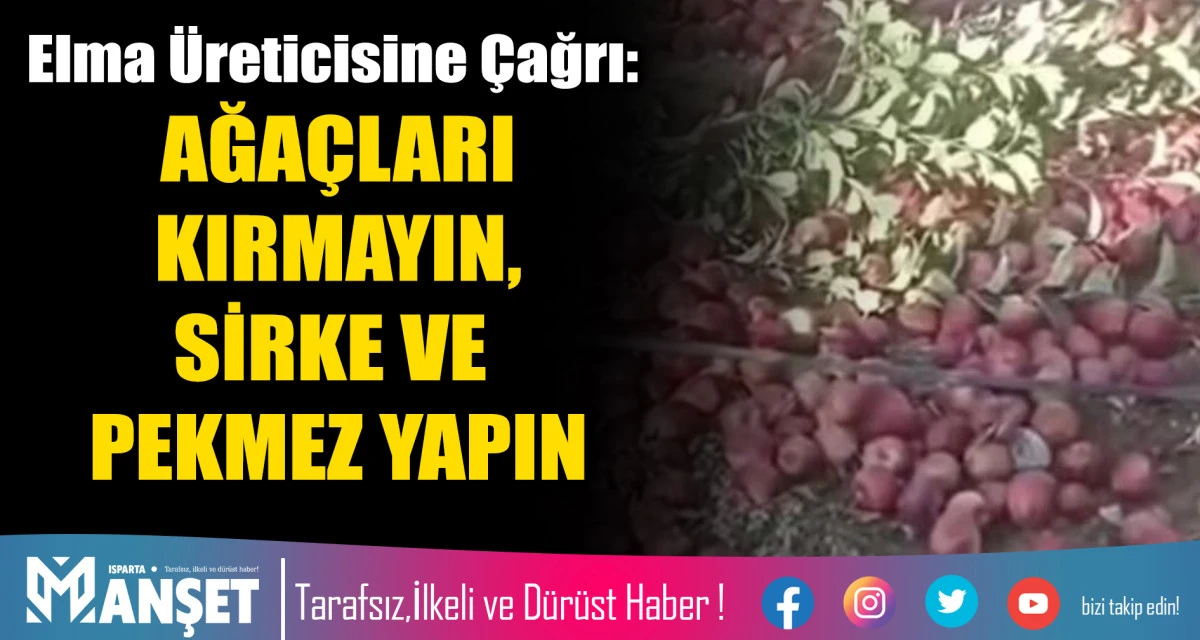 AĞA&Ccedil;LARI KIRMAYIN, SİRKE VE PEKMEZ YAPIN