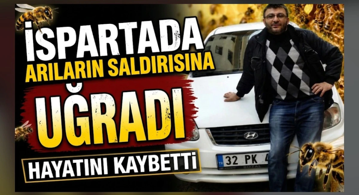 ARILARIN SALDIRISINA UĞRADI HAYATINI KAYBETTİ