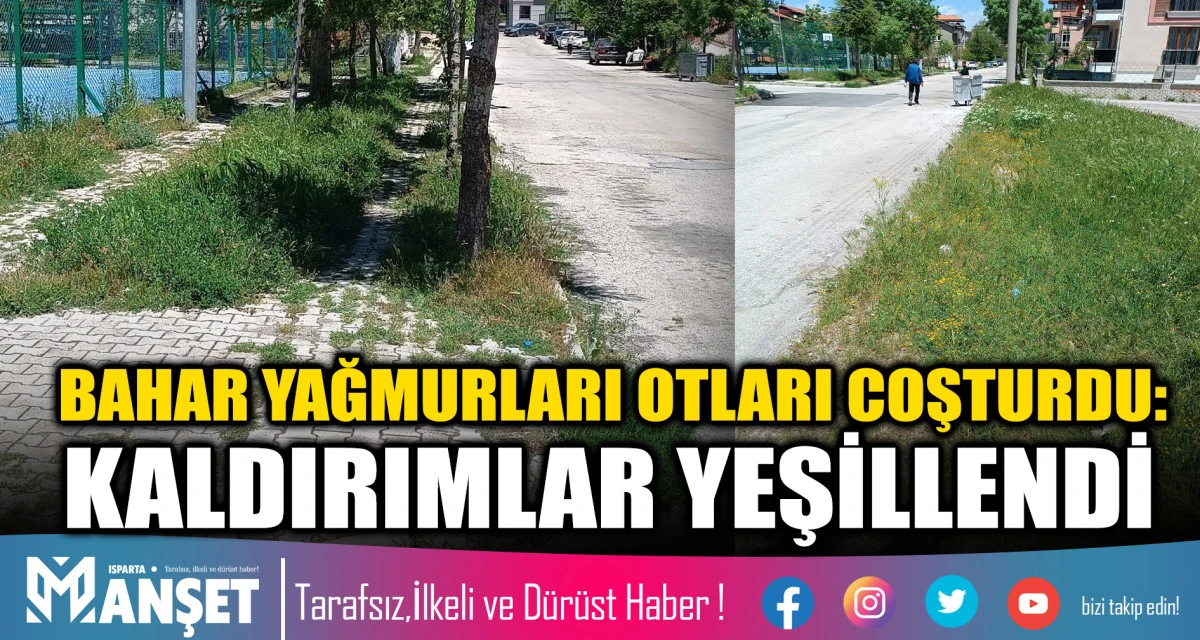 BAHAR YAĞMURLARI OTLARI COŞTURDU: KALDIRIMLAR YEŞİLLENDİ