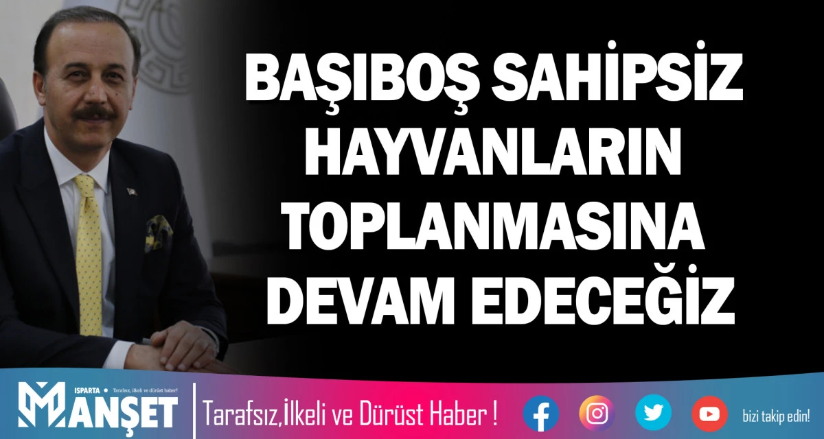 BAŞIBOŞ SAHİPSİZ HAYVANLARIN TOPLANMASINA DEVAM EDECEĞİZ