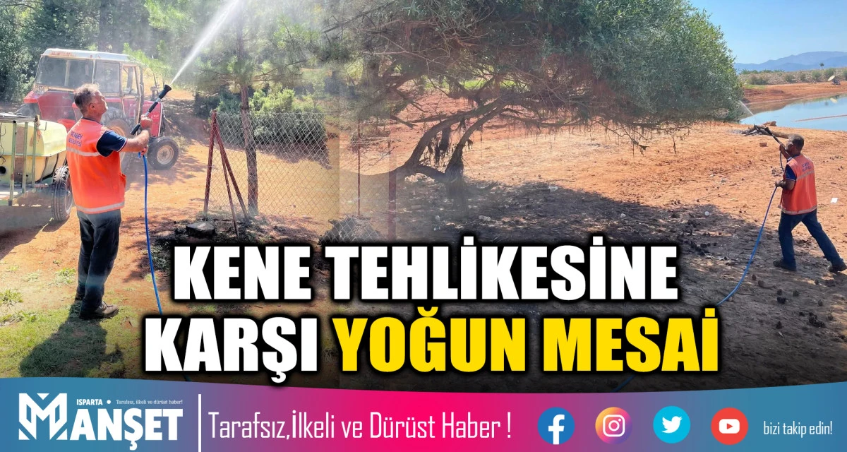 Başkan Pehlivan: "Kene Riskine Karşı T&uuml;m Tedbirleri Alıyoruz"