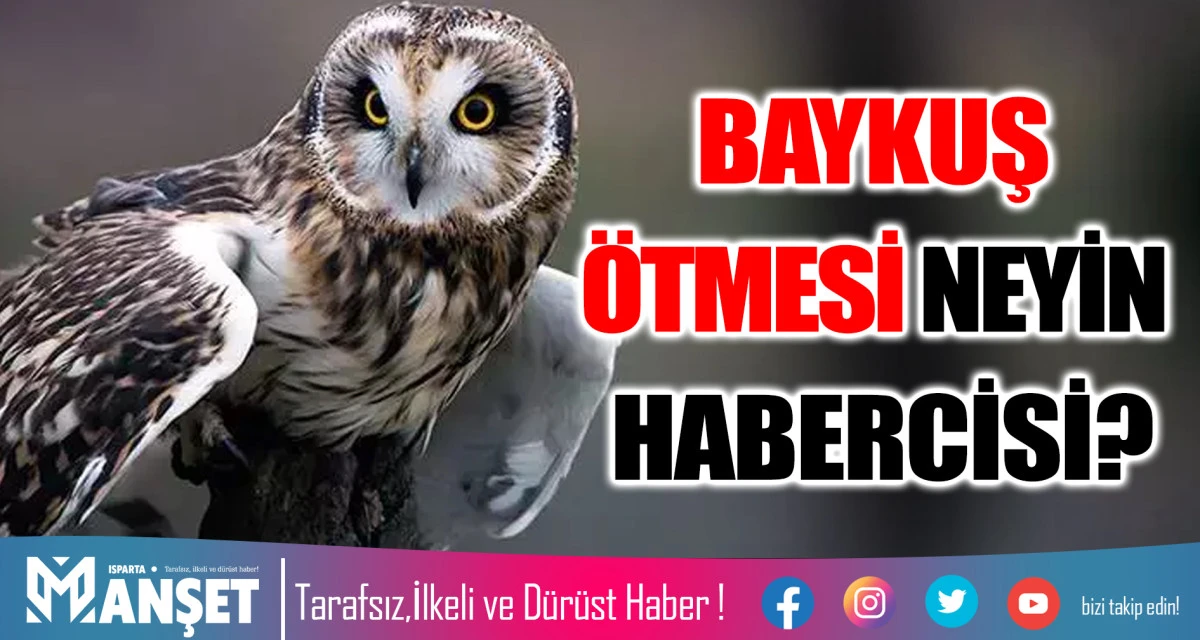 BAYKUŞ &Ouml;TMESİ NEYİN HABERCİSİ?