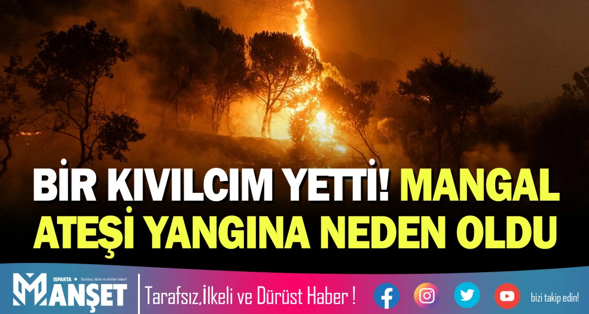 BİR KIVILCIM YETTİ! MANGAL ATEŞİ YANGINA NEDEN OLDU