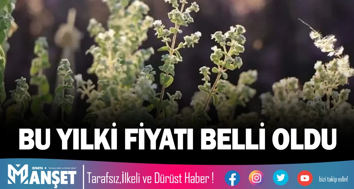 BU YILKİ FİYATI BELLİ OLDU