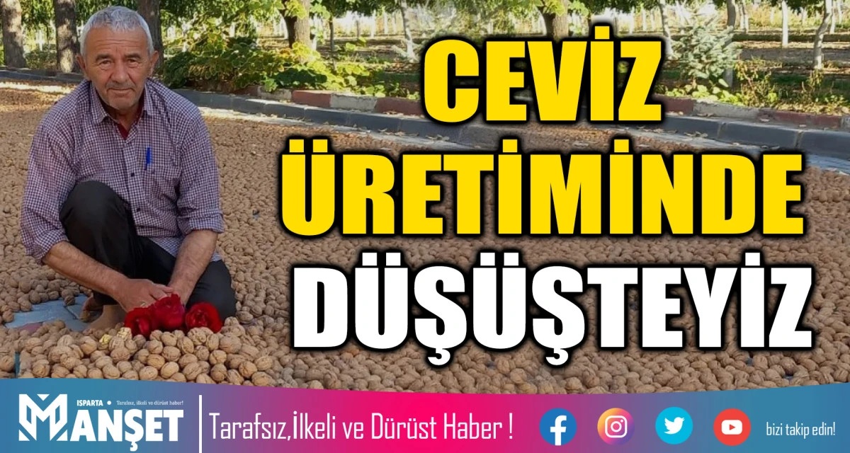 CEVİZ &Uuml;RETİMİNDE D&Uuml;Ş&Uuml;ŞTEYİZ