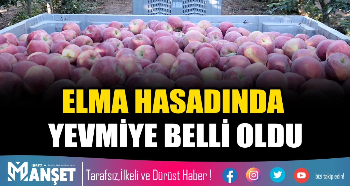 ELMA HASADINDA YEVMİYE BELLİ OLDU
