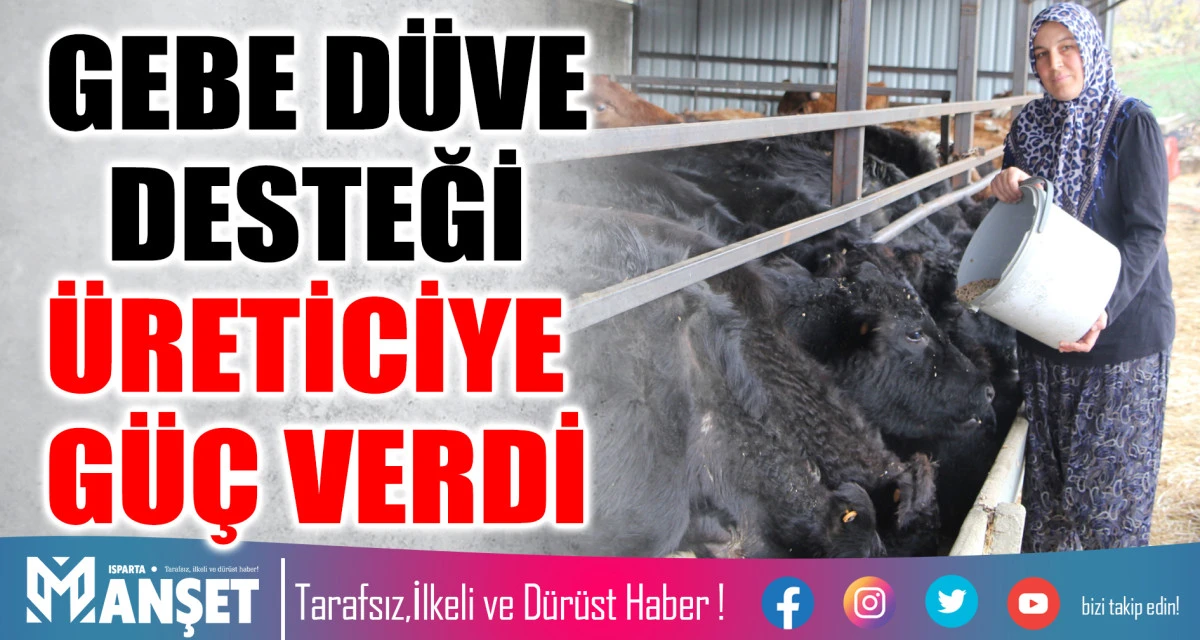 GEBE DÜVE DESTEĞİ BALCI KÖYÜ’NDEKİ ÜRETİCİYE GÜÇ VERDİ