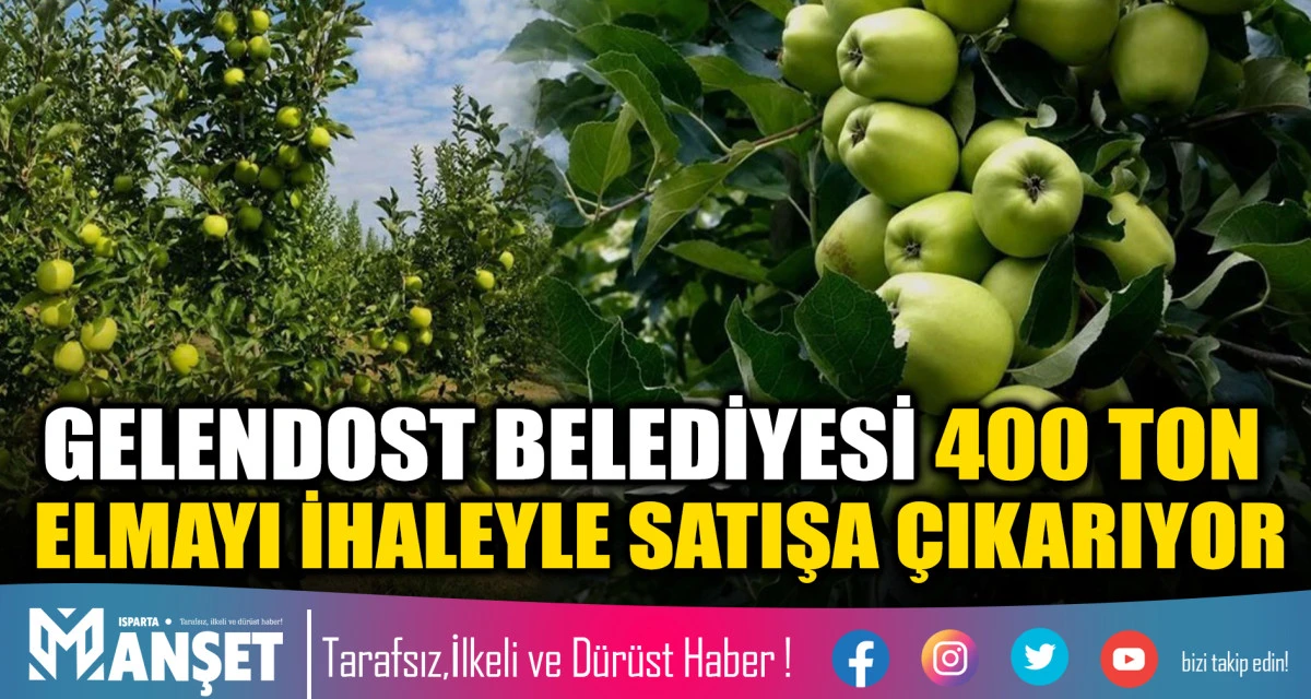 GELENDOST BELEDİYESİ 400 TON ELMAYI İHALEYLE SATIŞA &Ccedil;IKARIYOR