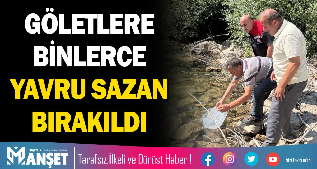 G&Ouml;LETLERE BİNLERCE YAVRU SAZAN BIRAKILDI