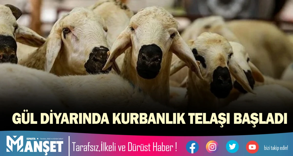 "G&Uuml;L DİYARINDA" KURBANLIK TELAŞI BAŞLADI