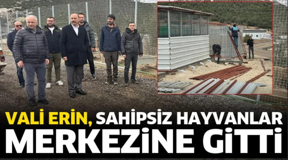 HAYVANLAR SAHİPSİZ DEĞİL