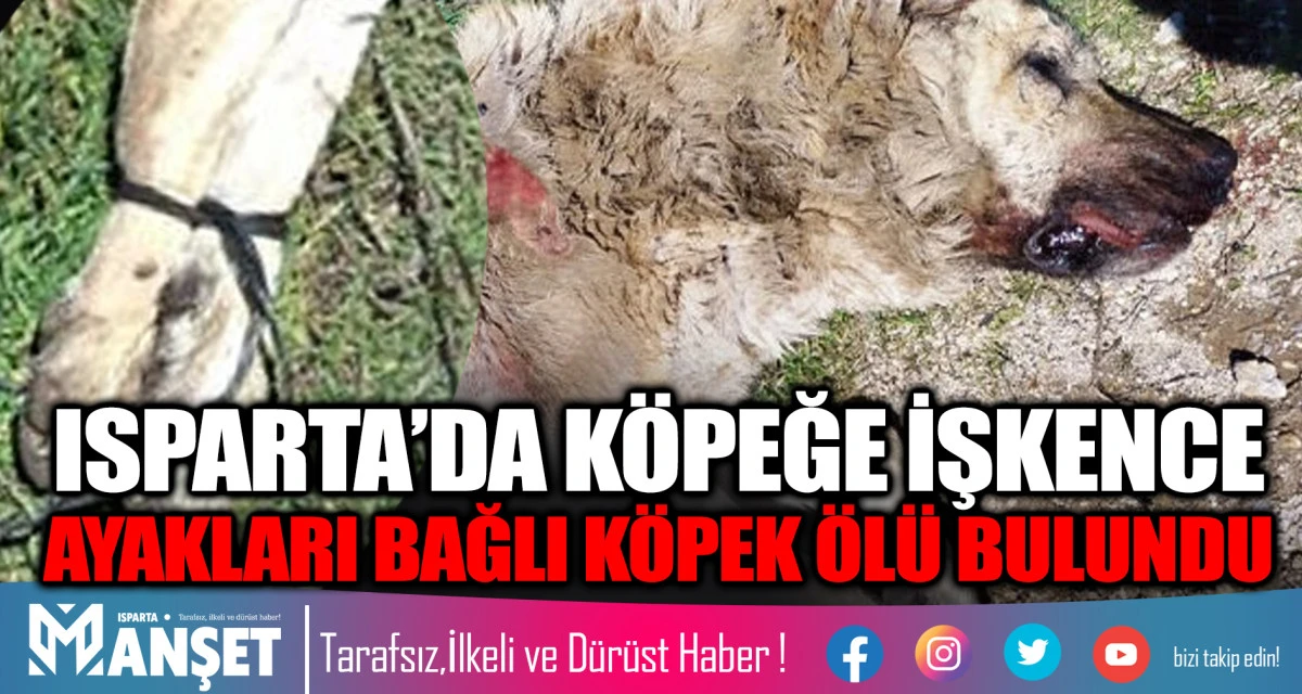 ISPARTA&rsquo;DA K&Ouml;PEĞE İŞKENCE AYAKLARI BAĞLI K&Ouml;PEK &Ouml;L&Uuml; BULUNDU