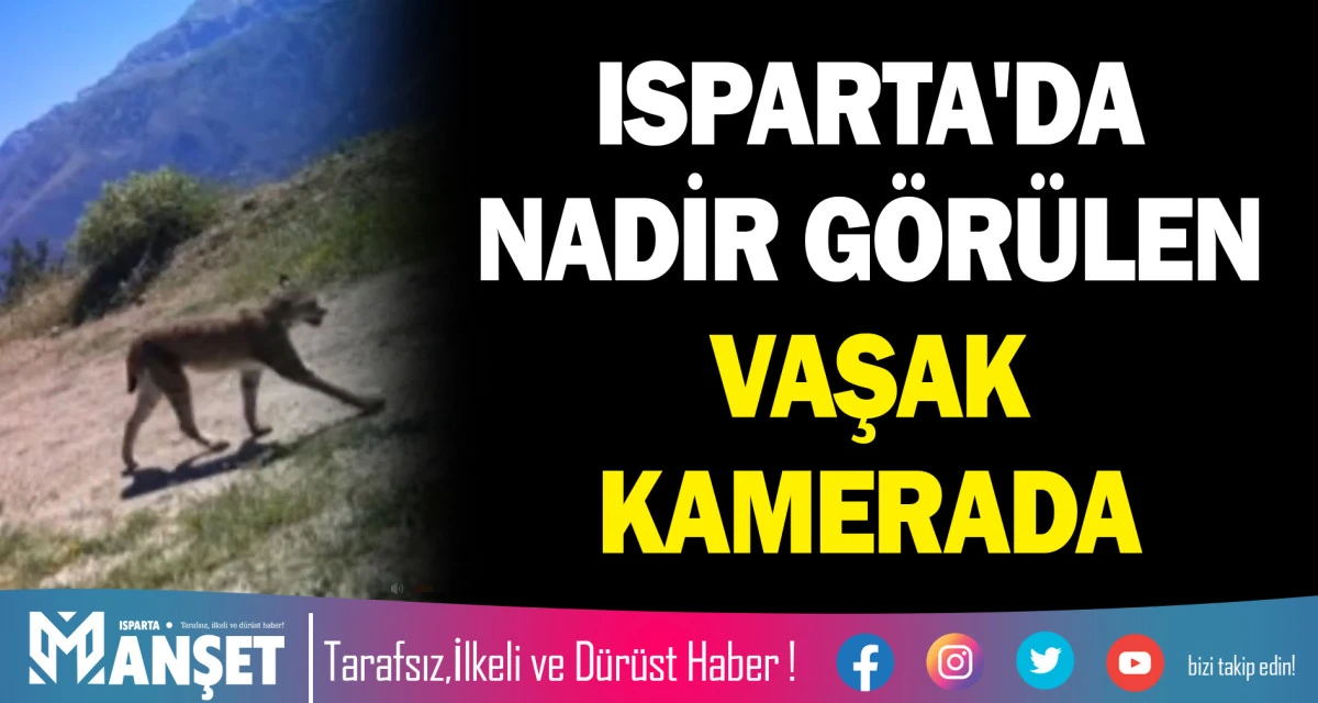 ISPARTA'DA NADİR G&Ouml;R&Uuml;LEN VAŞAK KAMERADA