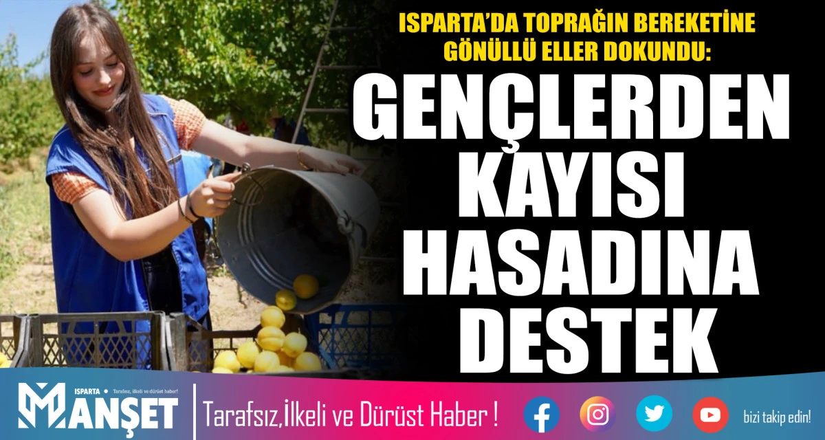 ISPARTA&rsquo;DA TOPRAĞIN BEREKETİNE G&Ouml;N&Uuml;LL&Uuml; ELLER DOKUNDU: GEN&Ccedil;LERDEN KAYISI HASADINA DESTEK