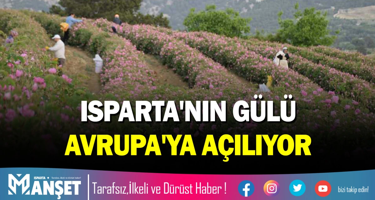 ISPARTA'NIN G&Uuml;L&Uuml; AVRUPA'YA A&Ccedil;ILIYOR