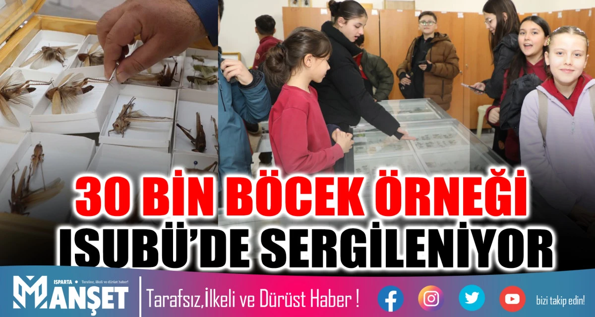 ISUB&Uuml; Ziraat Fak&uuml;ltesi B&ouml;cek M&uuml;zesinde 30 Bin B&ouml;cek &Ouml;rneği Sergileniyor