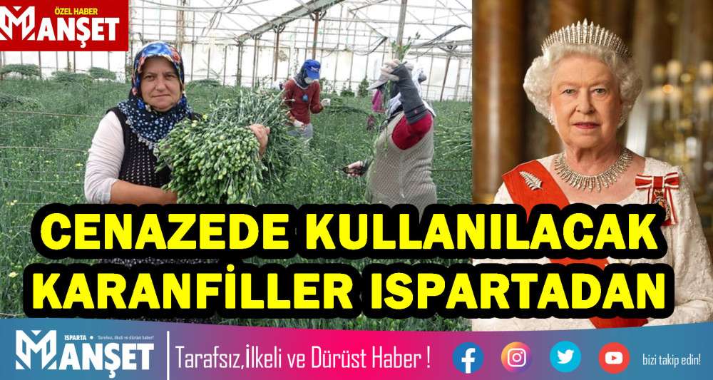 KARANFİLLER ISPARTADAN