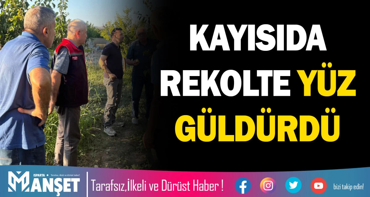 KAYISIDA REKOLTE Y&Uuml;Z G&Uuml;LD&Uuml;RD&Uuml;