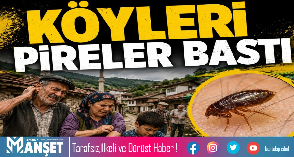 K&Ouml;YLERİ PİRELER BASTI
