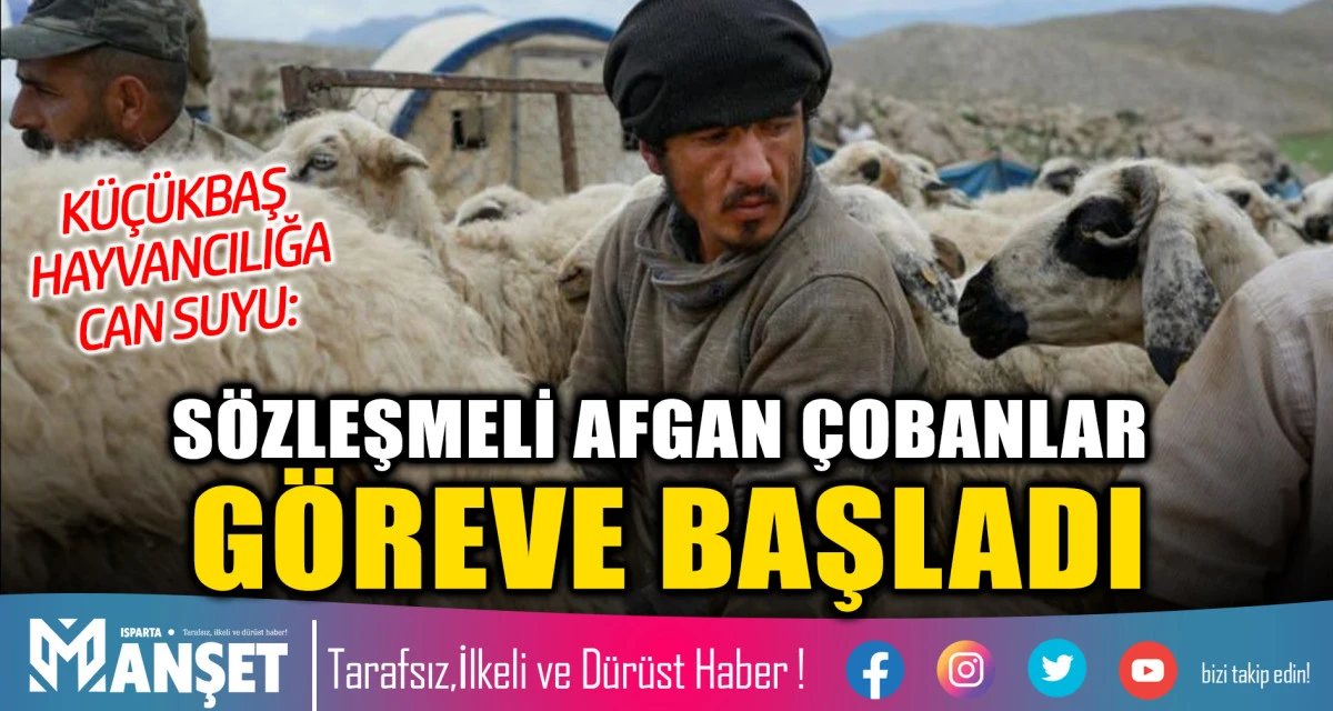 K&Uuml;&Ccedil;&Uuml;KBAŞ HAYVANCILIĞA CAN SUYU: S&Ouml;ZLEŞMELİ AFGAN &Ccedil;OBANLAR G&Ouml;REVE BAŞLADI