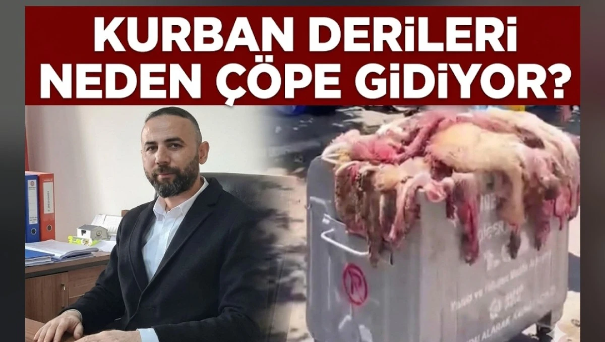 KURBAN DERİLERİ NEDEN &Ccedil;&Ouml;PE GİDİYOR
