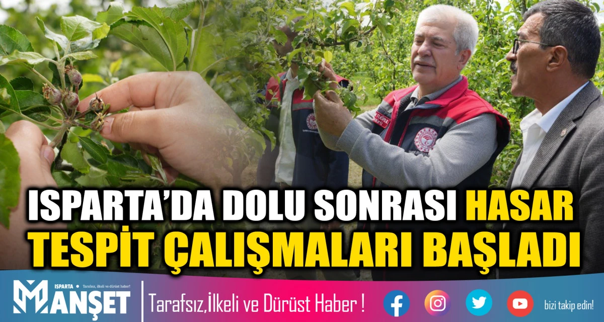 Sağanak ve Dolu Yağışı Bah&ccedil;elerde Zarara Yol A&ccedil;tı