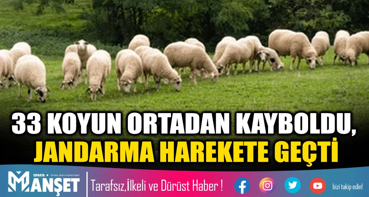 Şarkikaraağa&ccedil;&rsquo;ta 33 Koyun Kayıplara Karıştı