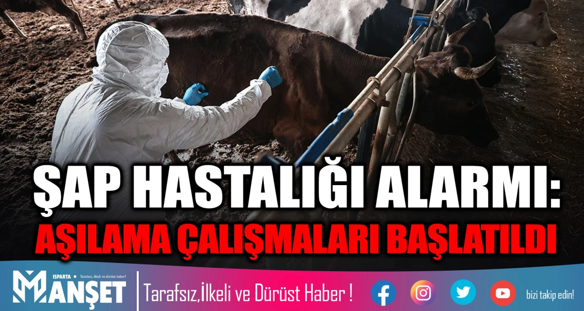 SAT-1 şap hastalığı tespit edildi