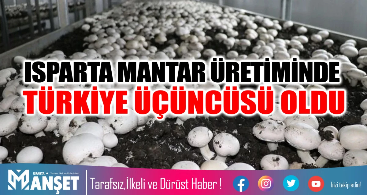 TKDK Hibeleriyle Isparta&rsquo;da Mantar &Uuml;retimi Artıyor