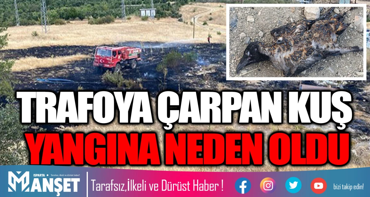 TRAFOYA ÇARPAN KUŞ YANGINA NEDEN OLDU