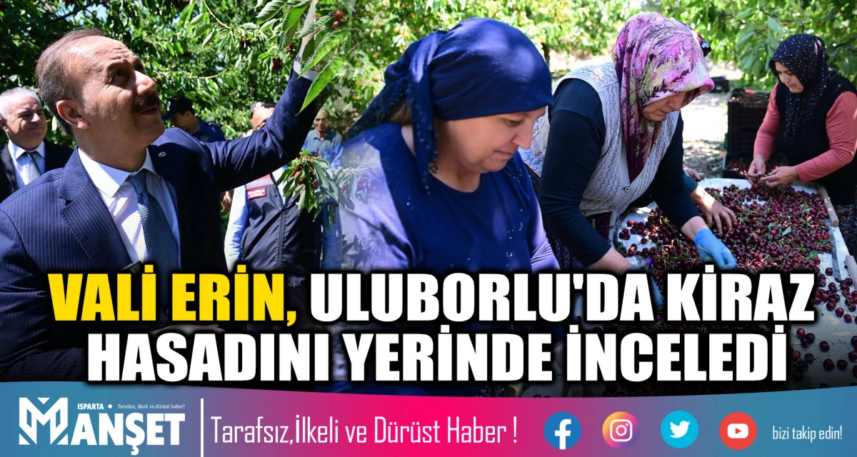 Vali Erin, Uluborlu'da Kiraz Hasadını Yerinde İnceledi