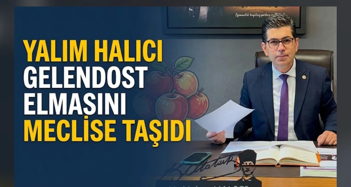 YALIM HALICI GELENDOST ELMASINI MECLİSE TAŞIDI