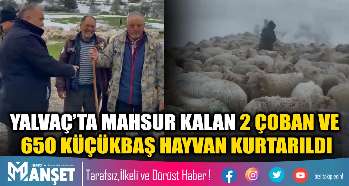 Yalva&ccedil;&rsquo;ta yaylada mahsur kalan 600 koyun kurtarıldı