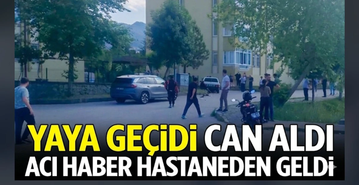 YAYA GE&Ccedil;İDİ CAN ALDI